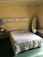 a bedroom with a large bed and a mirror at LE CABOUILLET in LʼIsle-Adam