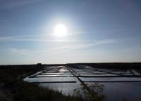 a view of a field with the sun in the sky at Mobil home neuf en Bretagne sud in Guérande