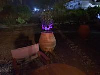 A garden outside Déjà Blue