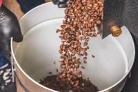 Fotografie z fotogalerie ubytování 7 Gaia Roaster Apartments v destinaci Vila Nova de Gaia