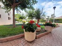 Vonkajšia záhrada v ubytovaní Costa Blanca Holiday Rental AltaMar II