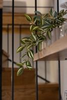 Plan piętra w obiekcie Samis Pelion LuxuryLiving