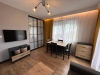 Televízia a/alebo spoločenská miestnosť v ubytovaní Nieborowska Loft - stylish apartment