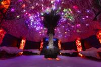 a room with purple lights and a palm tree at Panorama Górska Wisła Resort & SPA in Wisła