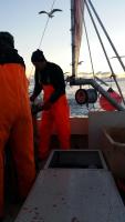 Půdorys ubytování Koselig hus til leie på Stokmarknes i Vesterålen
