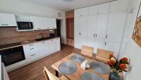 Kuchyň nebo kuchyňský kout v ubytování Horský apartmán Karlovice