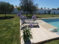Bazén v ubytovaní Villa Olivia con Piscina, Jardin y Parking alebo v jeho blízkosti