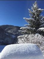 a snow covered tree in front of a mountain at Chaleureux studio plein sud en Tarentaise ! in Bozel