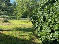 a hedge of green plants in a field at L&#39;écrin - Chambres d&#39;hôtes au calme et au vert 