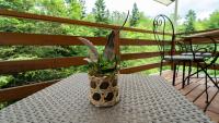 Balkón alebo terasa v ubytovaní Holiday house Kajfes