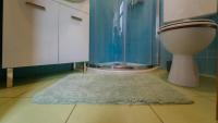 Kúpeľňa v ubytovaní Holiday house Kajfes