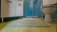 a bathroom with a shower and a toilet and a rug at Holiday house Kajfes in Brod na Kupi