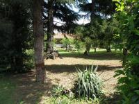 Vonkajšia záhrada v ubytovaní B&B Villa Mirella