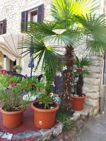 Vonkajšia záhrada v ubytovaní Maja Apartment