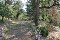 a park with a picnic table in the woods at Maison Amandre en Pleine Nature - Mas Lou Castanea in Collobrières
