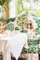 Κατοικίδιο ή κατοικίδια επισκεπτών που μένουν στο The Colony Hotel