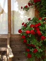A garden outside At Home In Maremma