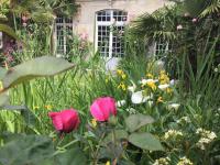 a garden with pink flowers in front of a window at L’orangerie du Général in Saint-Jean-dʼAngély