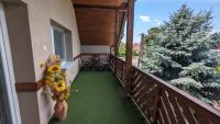 Vonkajšia záhrada v ubytovaní Virágos Apartman Balatonszemes