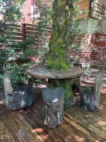 a tree sitting on a wooden deck with a tree stump at Villa Breza Brezovice in Brezovica