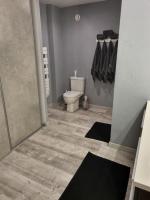 a bathroom with a toilet and a shower and a sink at Grand appartement près de la Cathédrale de Quimper in Quimper