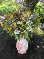 A garden outside Biohof Sauschneider