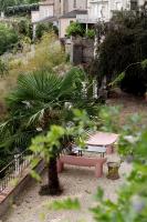 a pink bench and a palm tree in a garden at Au Petit Thouars in Thouars