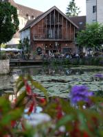 a building with a pond with flowers in front of it at Le Loft Pasteur in Dole