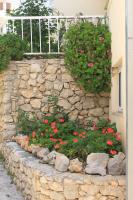 Vonkajšia záhrada v ubytovaní Apartments with a parking space Tucepi, Makarska - 6856