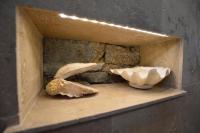 a box with a shell and a bowl on a shelf at La porcherie du pet en l&#39;air in Saint Malo