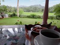 Un jardín fuera de Rainforest Nest