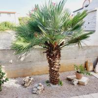 Zahrada ubytování Apartments Lavanda Vodice