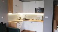Kuchyňa alebo kuchynka v ubytovaní Apartamenty KAPRYS - Centrum