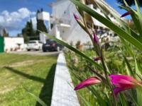 Zahrada ubytování Spacius Garden flat ,1km from the beach , Sleeps 5 ,by likeyourhome
