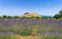 a field of lavender with a castle in the background at Nice Home In Taulignan With Wifi in Taulignan