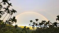 a rainbow in the sky with palm trees at Zhong Ming Ju Taoyi Fang in Fanlu