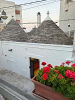 una maceta de flores con flores rojas delante de un edificio en Trullo Alfieri - Relax e Garden, en Alberobello