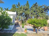 A garden outside Déjà Blue