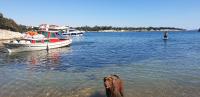 a dog standing in the water in front of a boat at Larah Land 4 Star Glamping Yala Lodge plus kids lodge in Šimuni