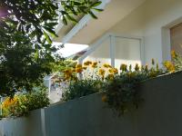 Vonkajšia záhrada v ubytovaní Apartment Nima Orebic