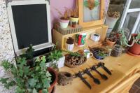 a table with potted plants and a chalkboard on it at Bear Meets Moose Homestay B&amp;B in Puli