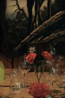 Nápoje v ubytování Hotel Tourist