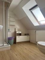 an attic bathroom with a skylight and a toilet at Apart Pension Plaue in Brandenburg an der Havel
