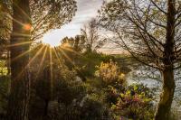 a view of the sun shining through some trees at Magnifique vue lac au Golf de Pont-Royal in Mallemort
