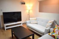 TV a/nebo společenská místnost v ubytování Pleasant Apartment in near Birmingham City Center