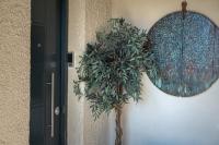 Plán poschodí v ubytovaní Villa Dianne Apt 1 Livadi Arachovas