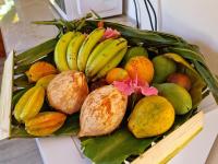 アパートメントの敷地内または近くでの食事または食べ物