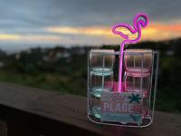 a glass with a pink flamingo and a hot place sign at Cocooning Tropic Studio avec Jacuzzi privatif in Saint-Louis
