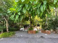 two trees in a park with chairs under them at Blu Monkey Pooltara Krabi Hotel & Villas Pet Friendly in Tha Lane Bay