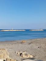 a dog laying on a beach next to the water at SeãCret in Kolymvari